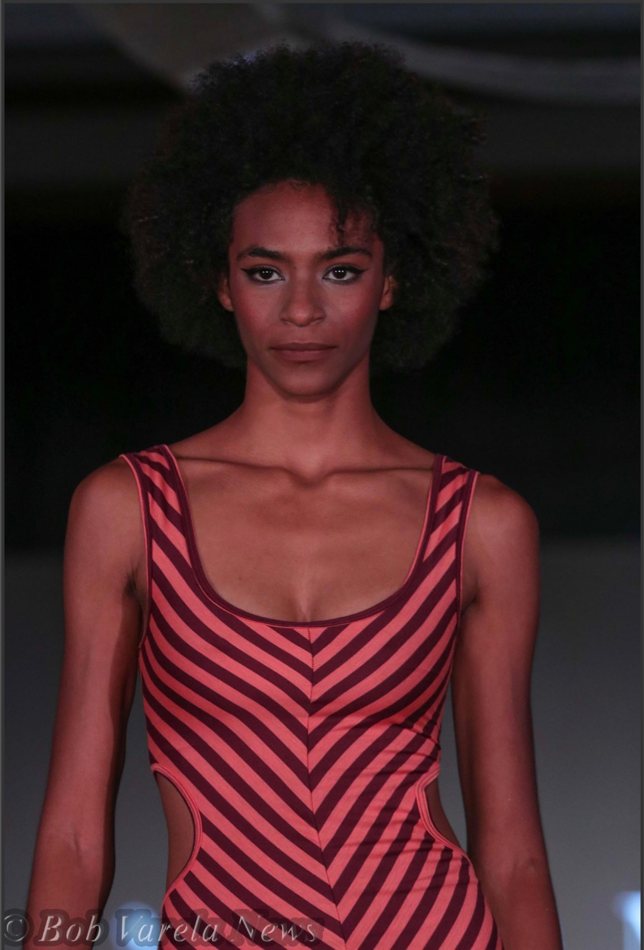 Berry Strips Tank Dress