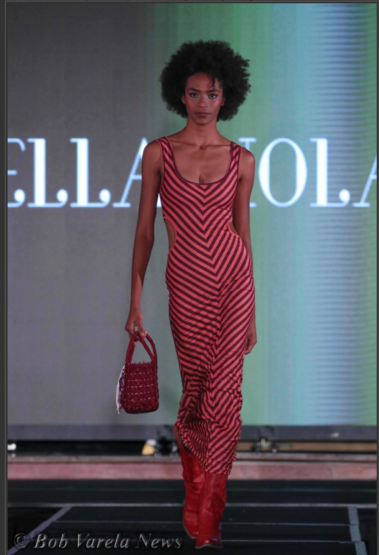 Berry Strips Tank Dress