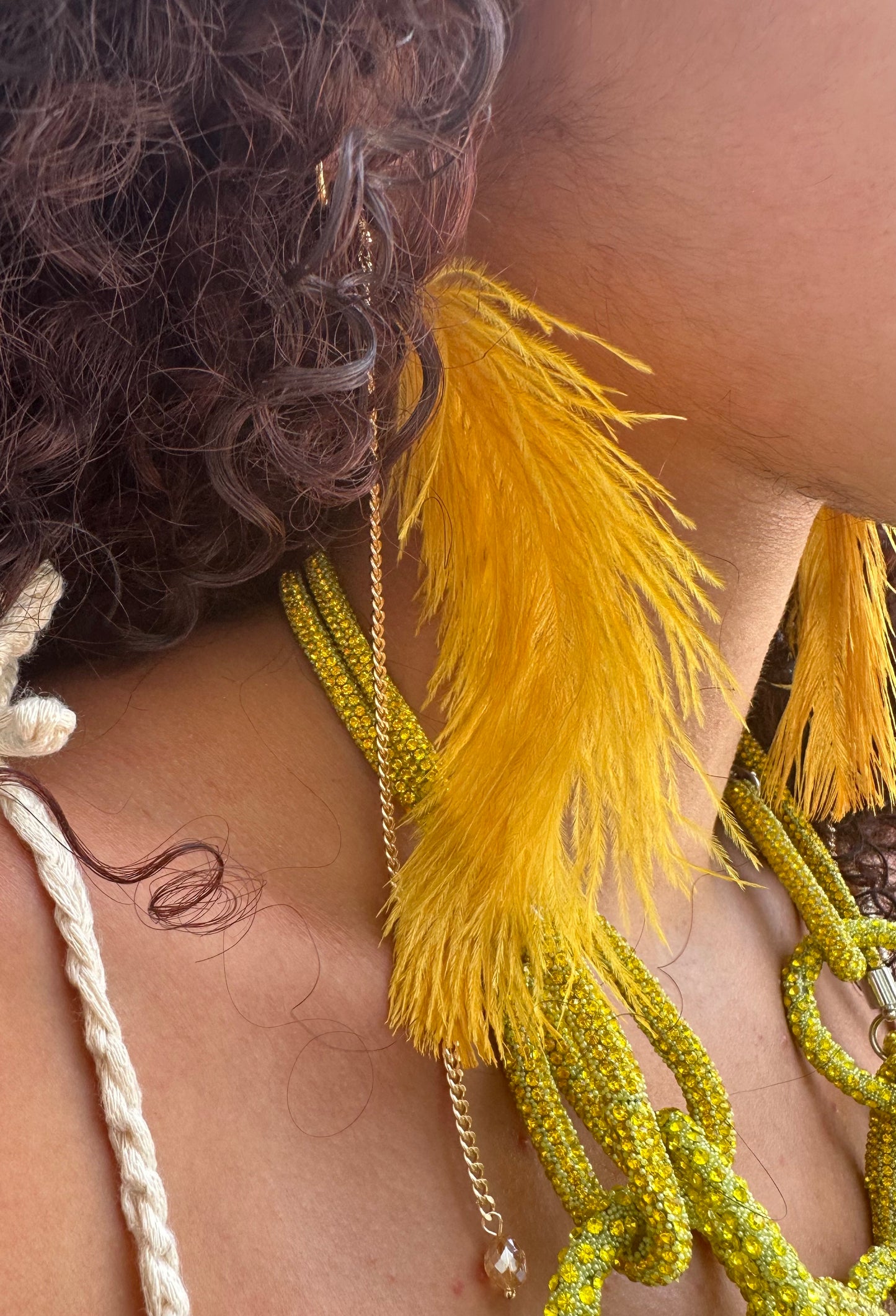 Single Feather Earrings