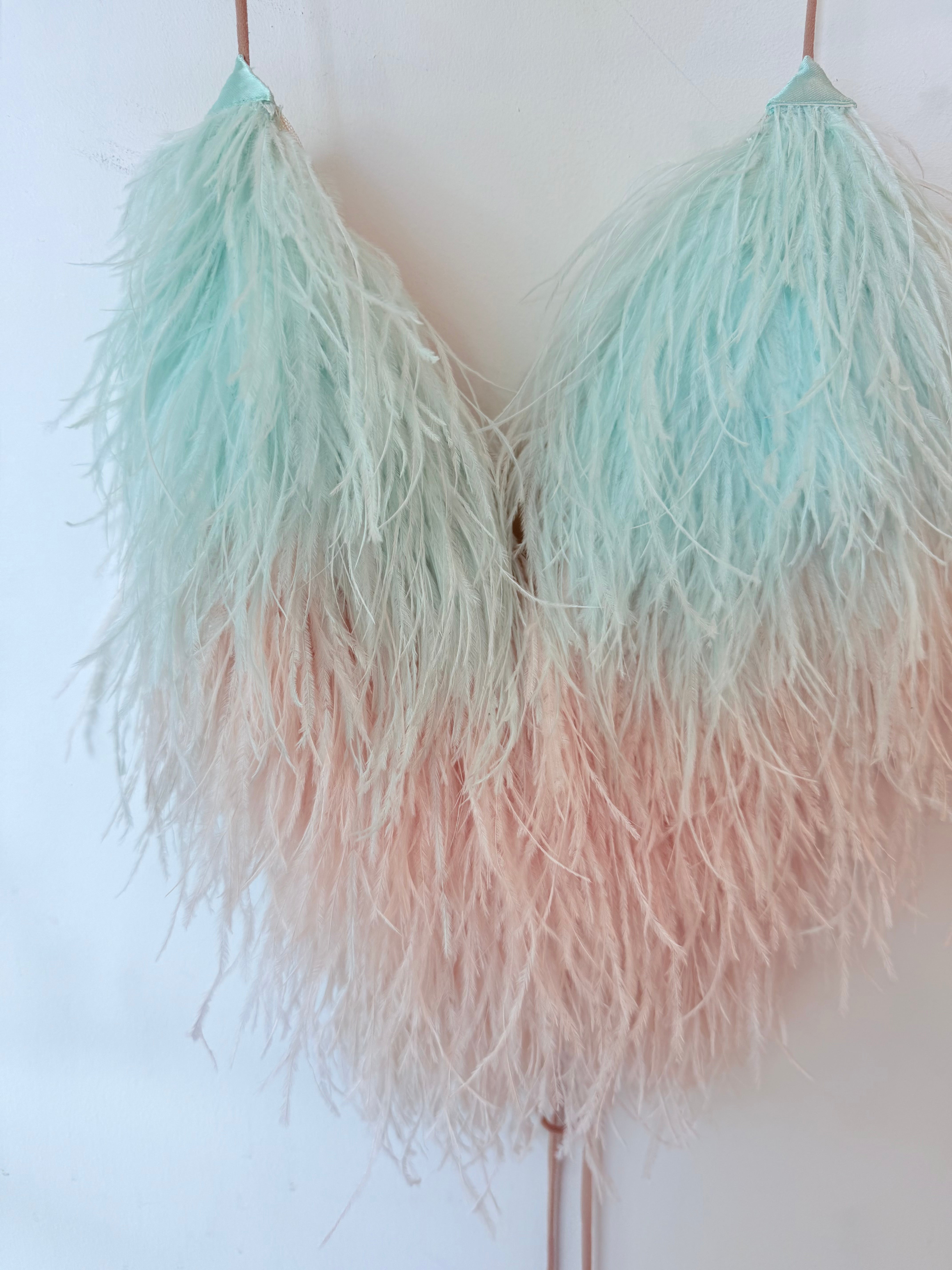 Peacock Plume Top