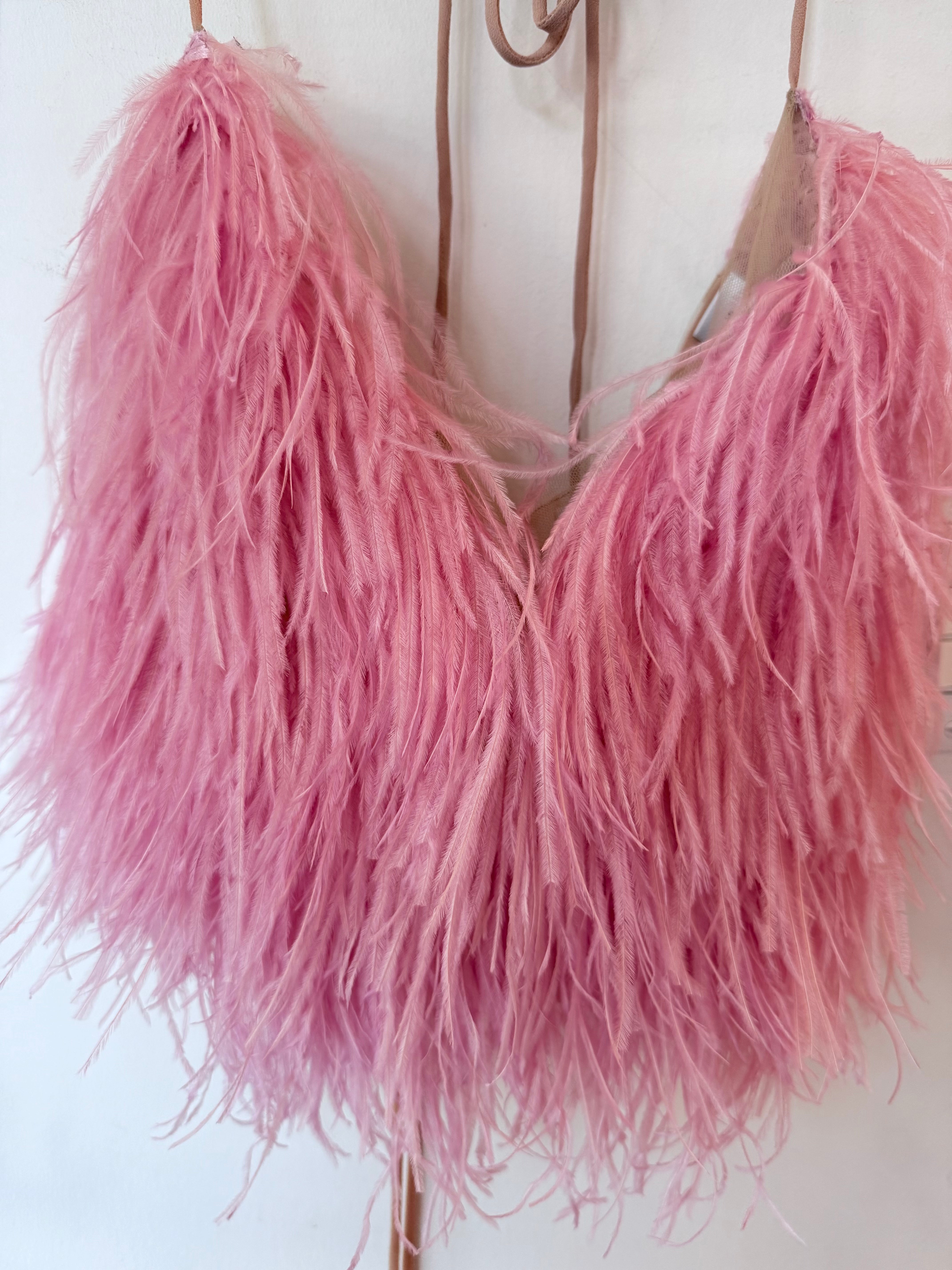 Pink Robin Plume Top