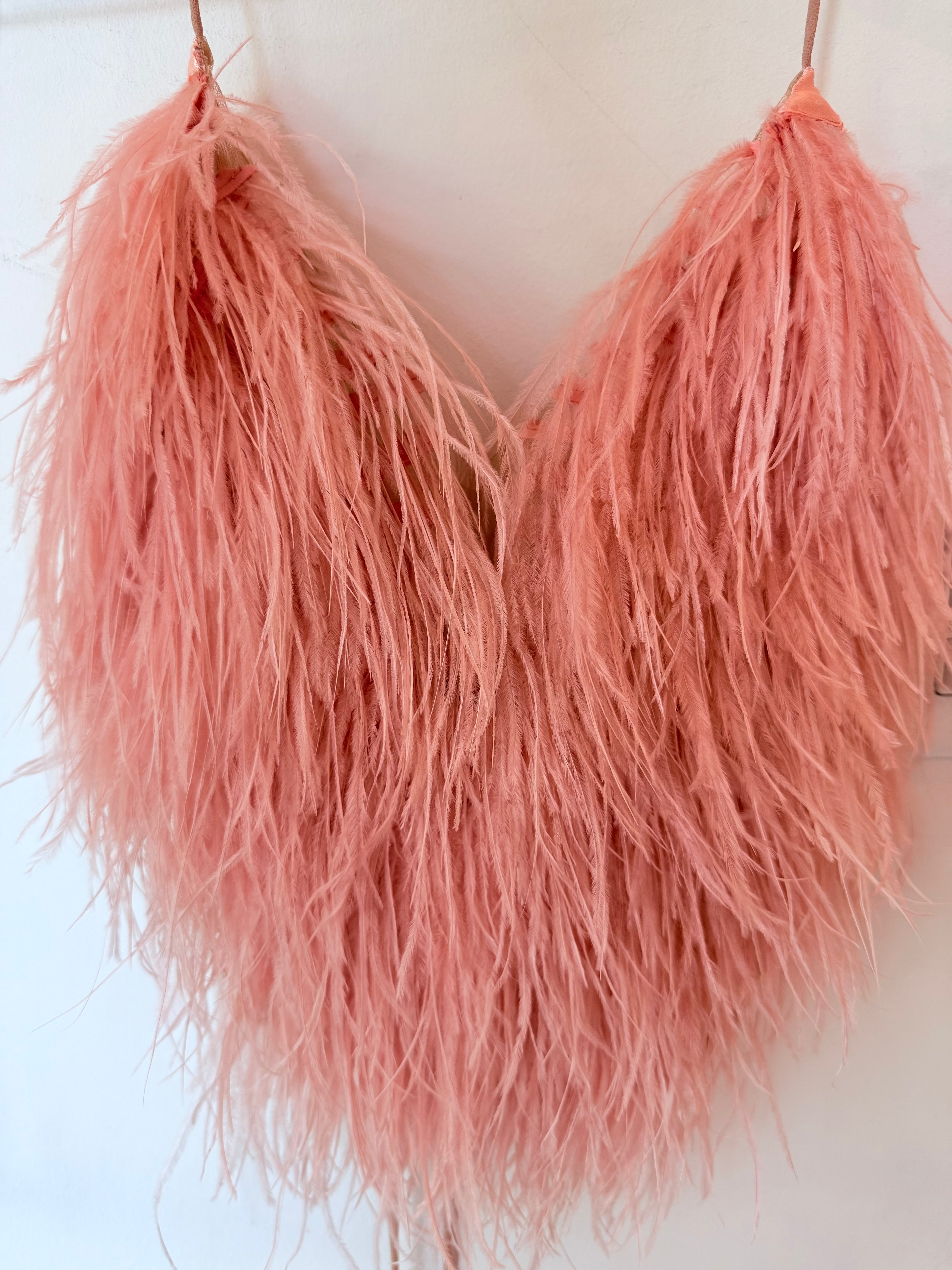 Flamingo Plume Top