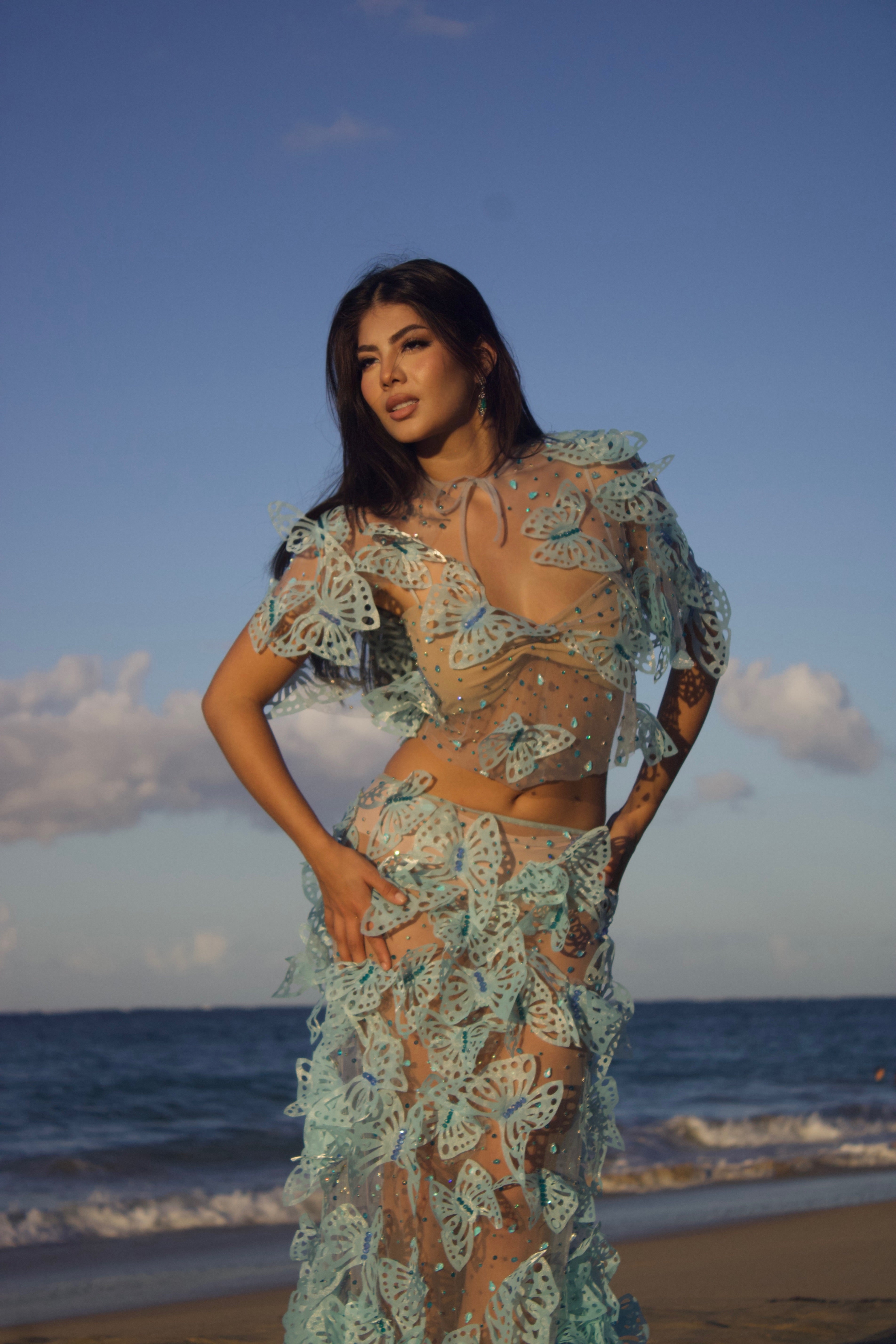 Sky Butterfly Top