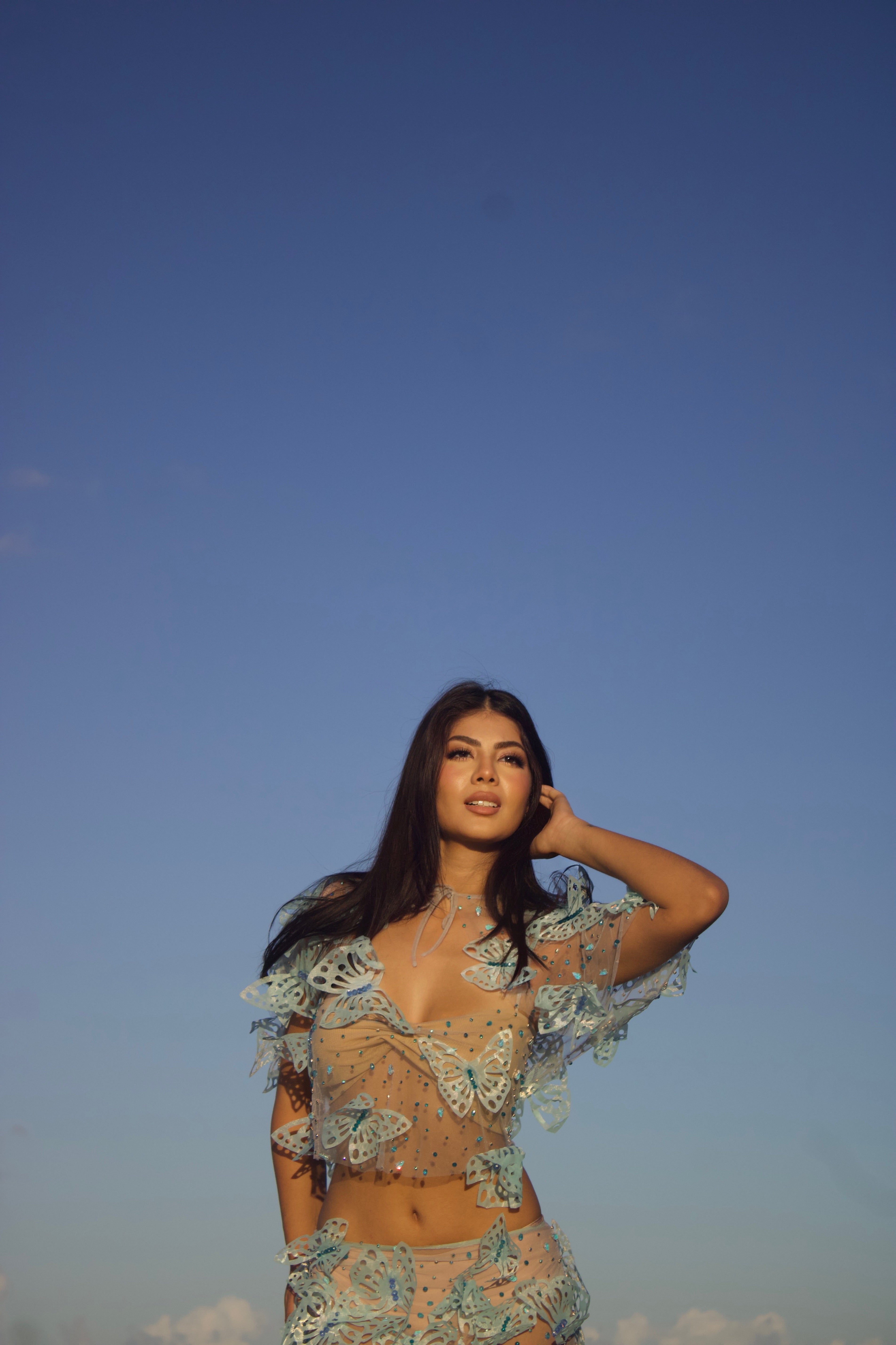 Sky Butterfly Top